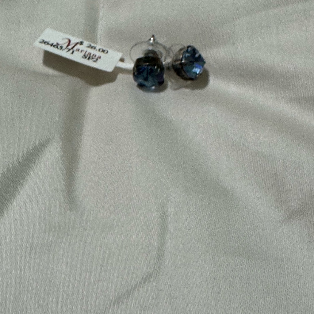 Mariana Blue Earrings 20$